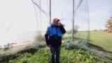 Балтия: ловушка для перелетных птиц